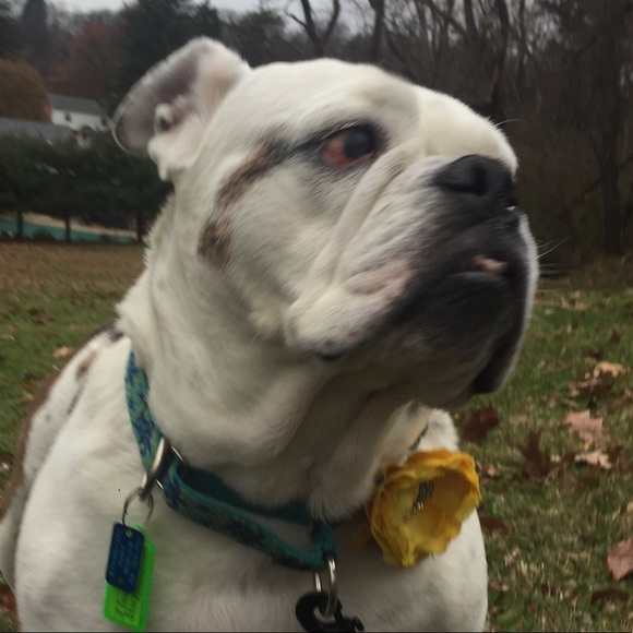 Meet your Posher, Tim - Picture 1 of 1